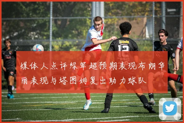 媒体人点评绿军超预期表现布朗华丽表现与塔图姆复出助力球队