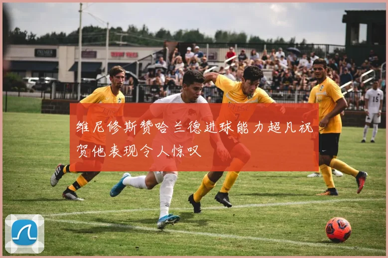 维尼修斯赞哈兰德进球能力超凡祝贺他表现令人惊叹